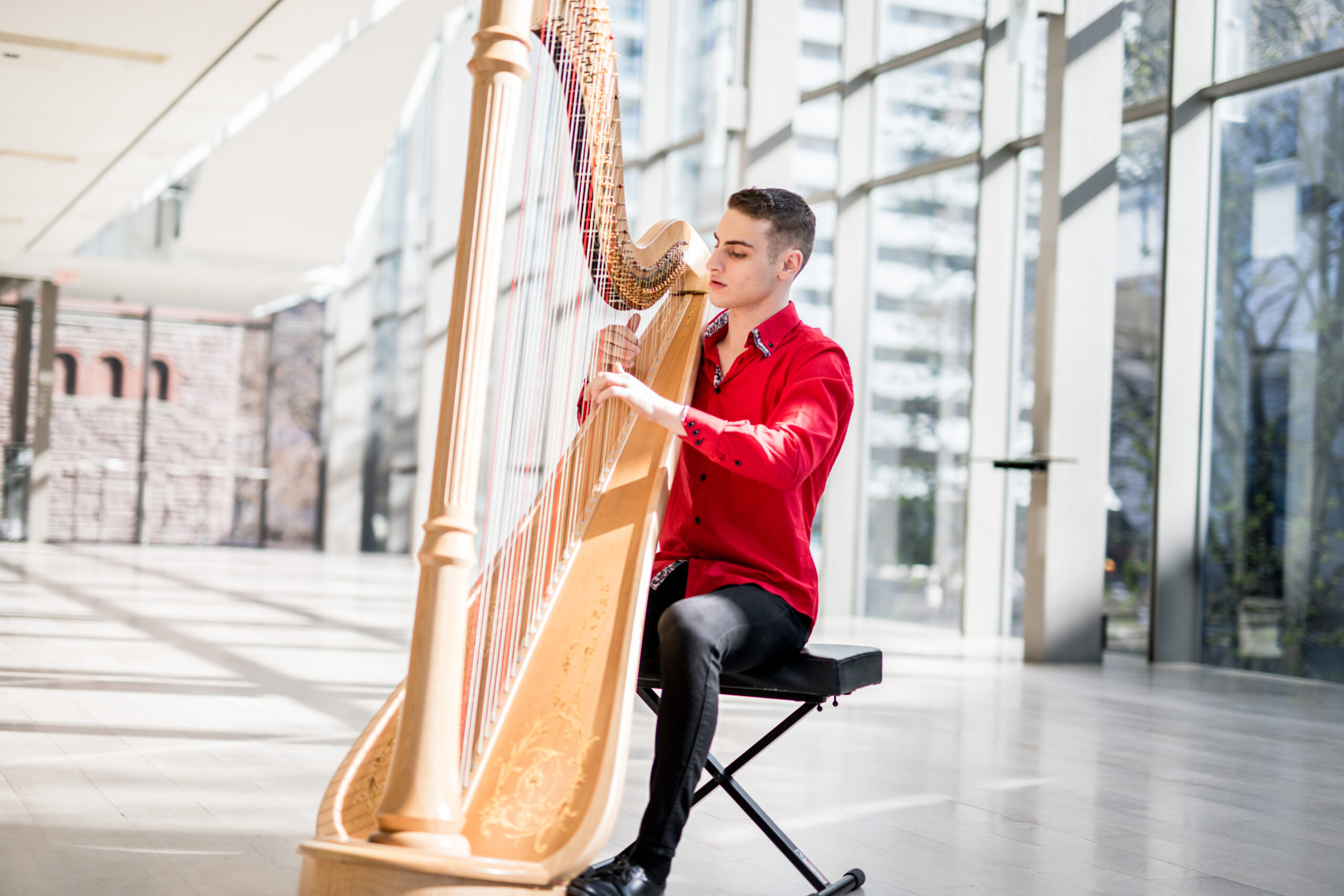 Ben Albertson, harp – Student